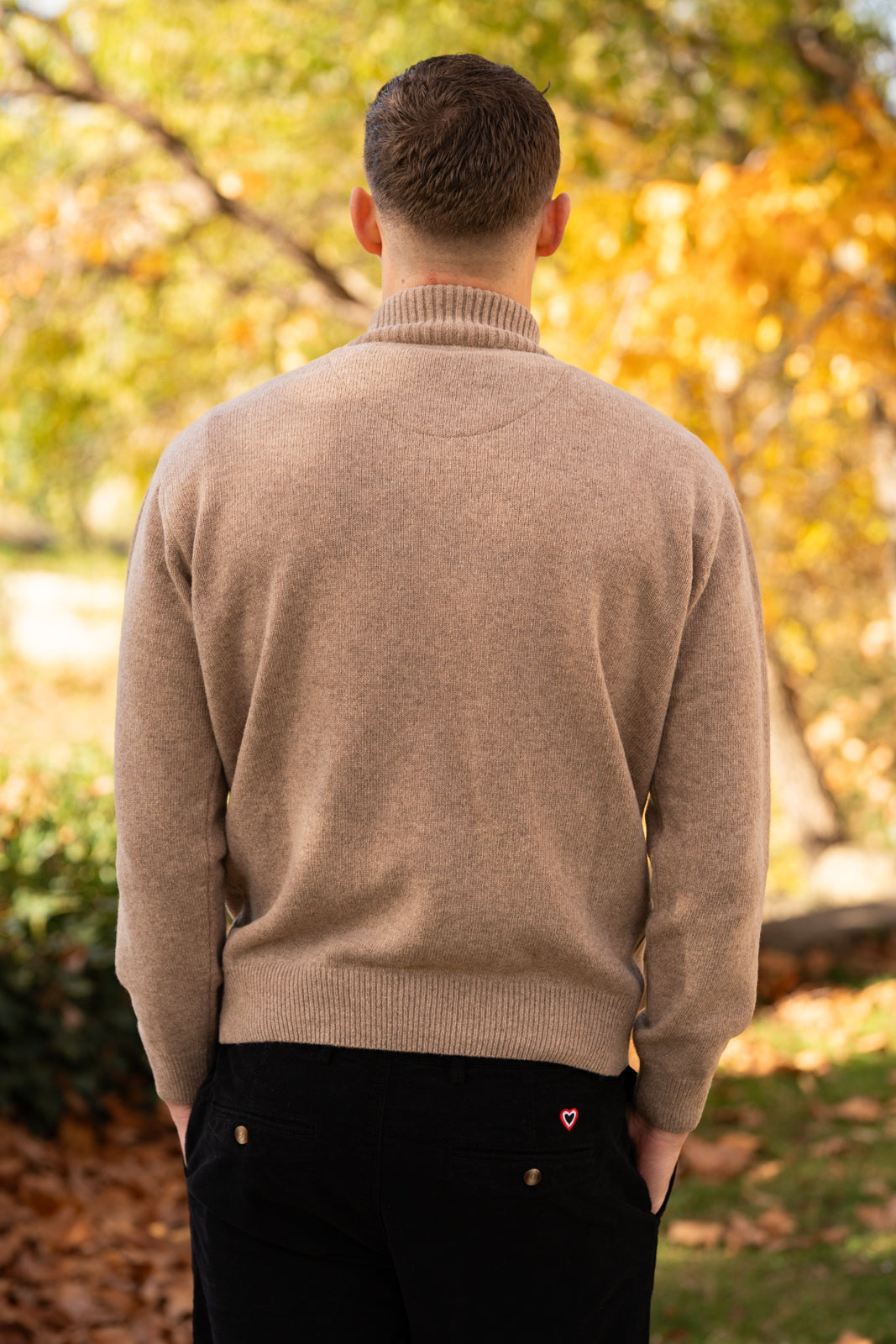 Pull col cammioneur beige SIMON